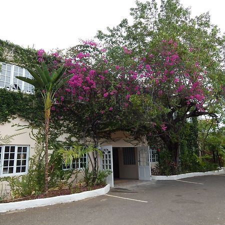 Mangos Jamaica Adults Only Hotel Falmouth Exterior foto