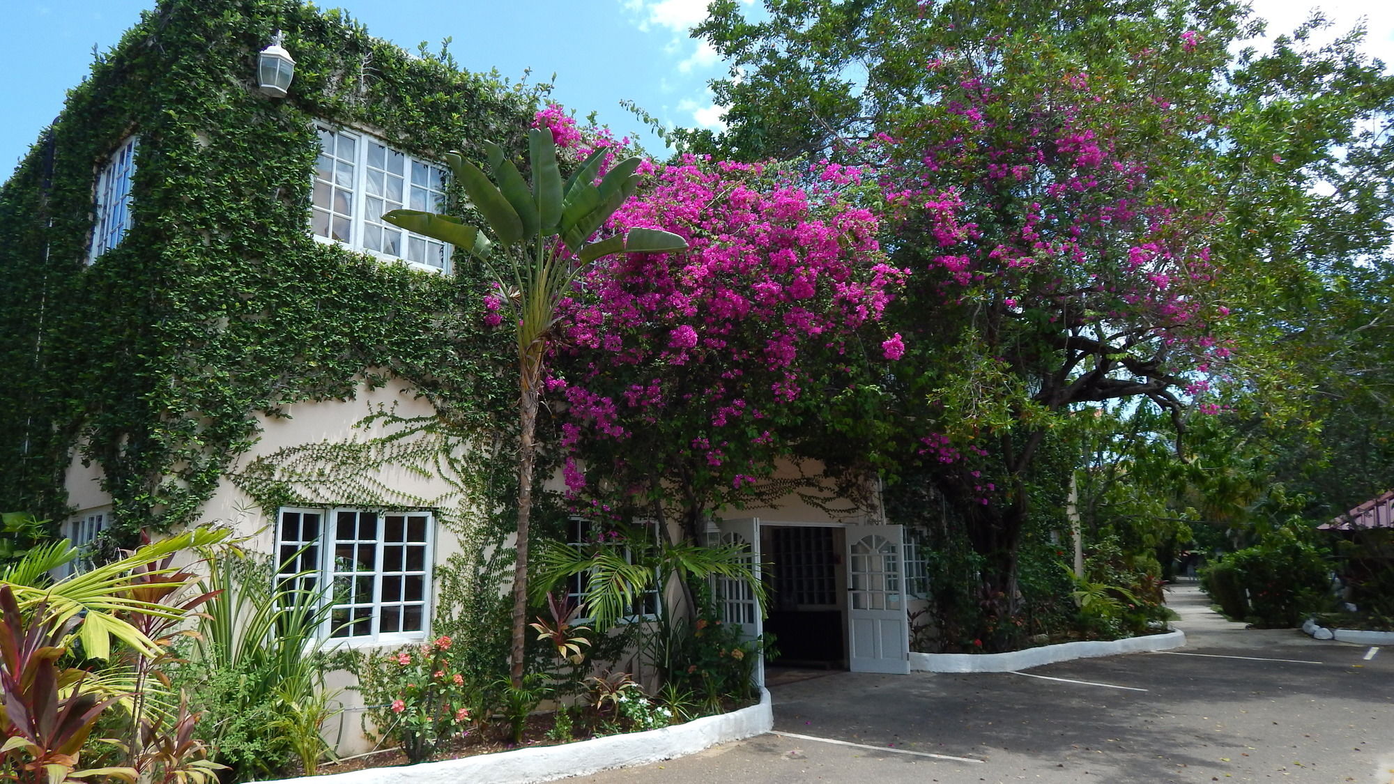Mangos Jamaica Adults Only Hotel Falmouth Exterior foto