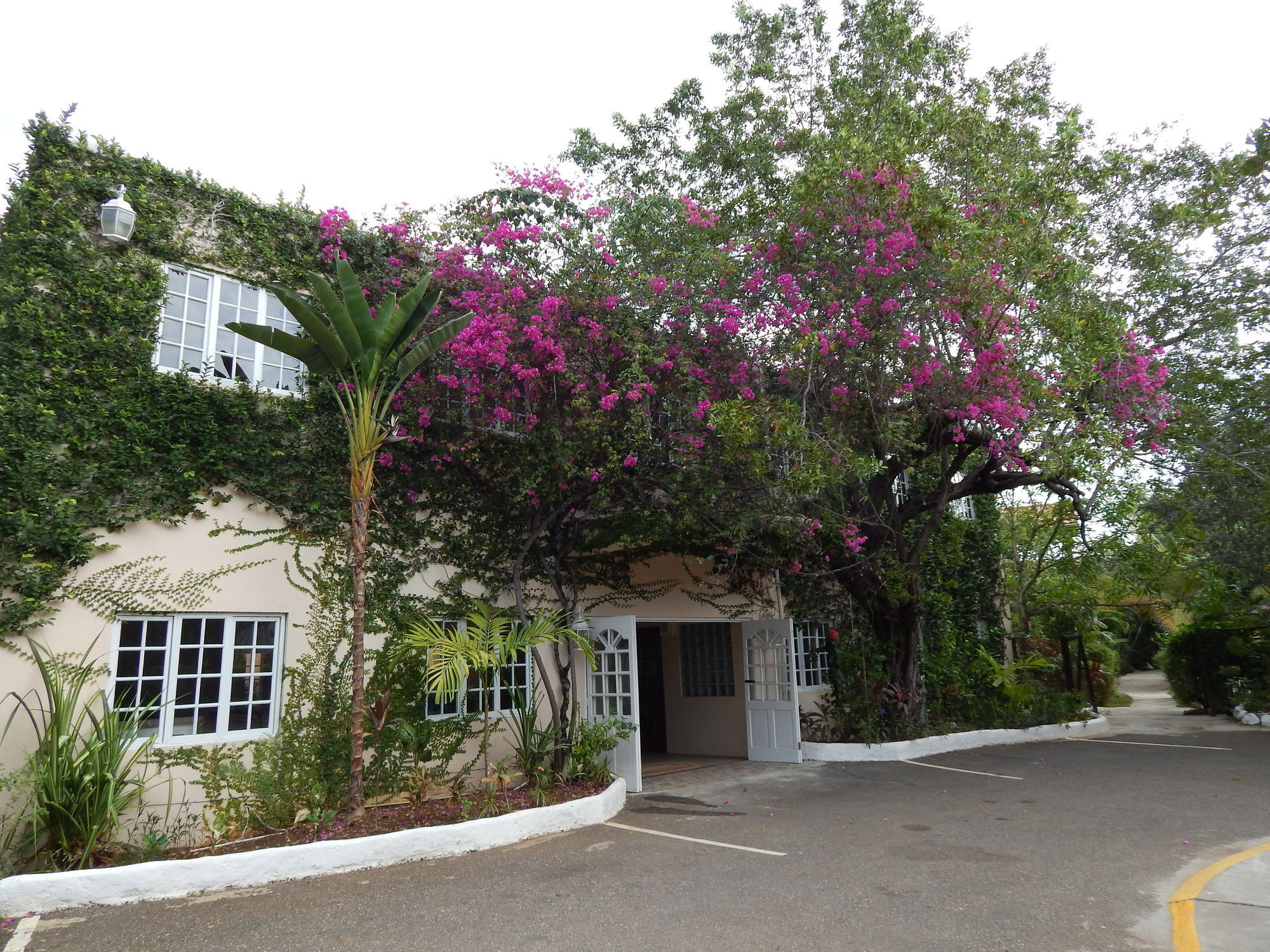 Mangos Jamaica Adults Only Hotel Falmouth Exterior foto